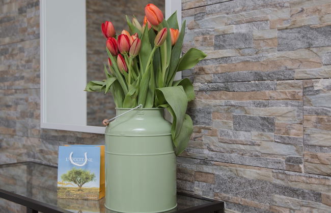 Shenkin Vilmar Apartments - Foto 68