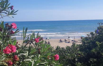 Playa Romana - Foto 31