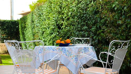 Patras Palm Tree - Foto 2, Garden