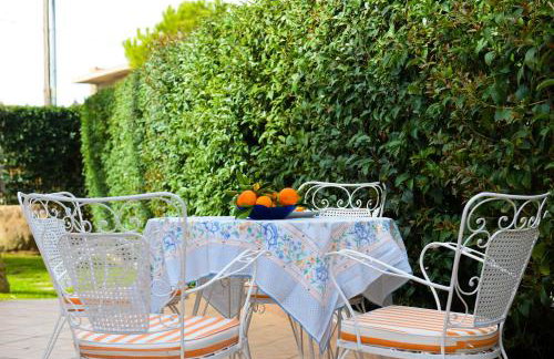 Patras Palm Tree - Foto 2