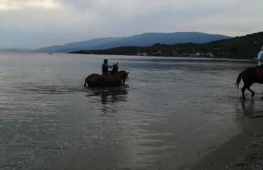 Almira Kalamos - Foto 43