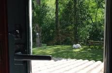 Apartamentos la casa de los ríos - Foto 36