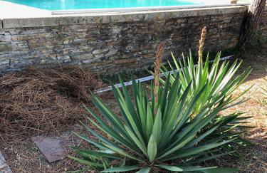 Bungalow B2 - Nature, Beach & River - Foto 70