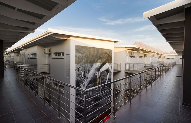 WINK Quiver Tree - Foto 56