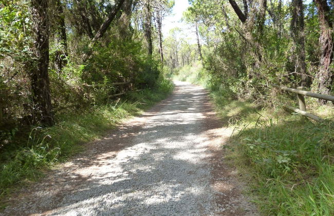 Holiday Home Grosseto Near Uccellina Beaches - Foto 31