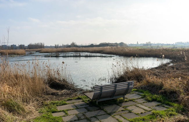 Apartment in Kruibeke Wissekerke Castle - Foto 38