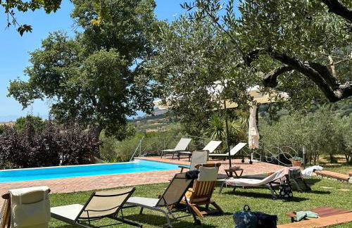 Azienda Agricola Passaro - Photo 9