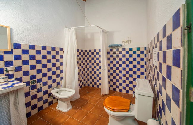 Algaba de Ronda - Foto 68