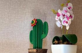 1503 Apto 2 Qtos completo João Pessoa Cabedelo - Foto 9