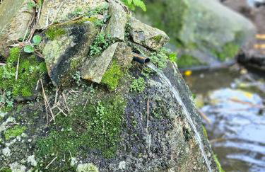 100mts beach Ribeirão da Ilha c Espaço Gourmet - Foto 62