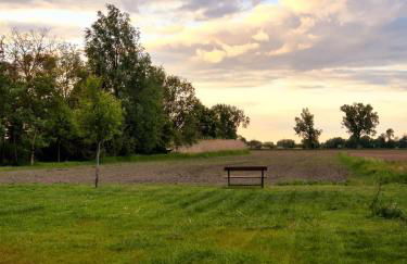 Oderbruch26 mit Sauna-Option - Foto 8