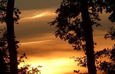 Zum Froschteich - Foto 10