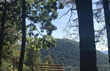 Ferienwohnungen Annweiler am Trifels - Foto 37