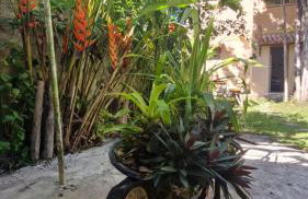 Solar do Arraial - Foto 15