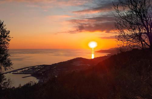 La casa rosa - Foto 9