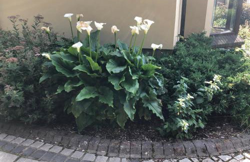 Hillcrest Cottage - Foto 8