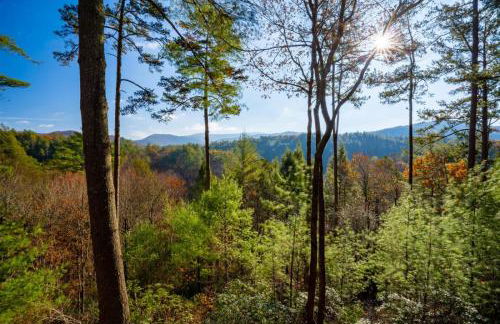 Hog Heaven - Cherry Log GA - Pet Friendly Cabin - Foto 3