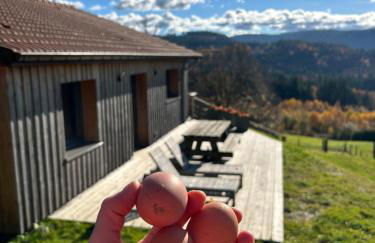 Refuge au coeur des Vosges - Foto 6