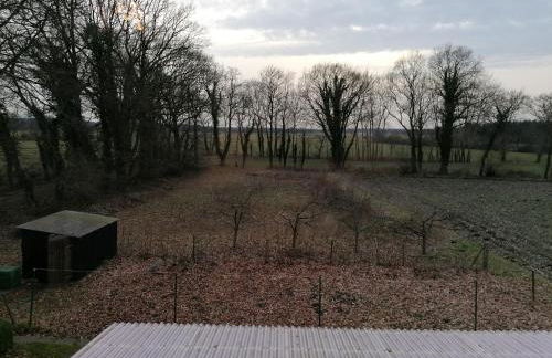 Ferienwohnung Wiesenweg - Foto 5