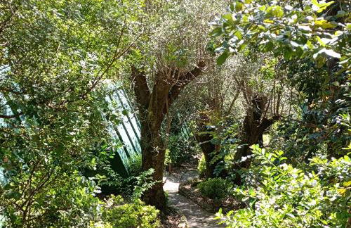 La Francesca Sud un villaggio"glamping" - Foto 13