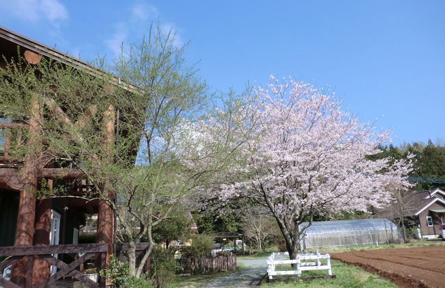 Lassy Condominium - Foto 28