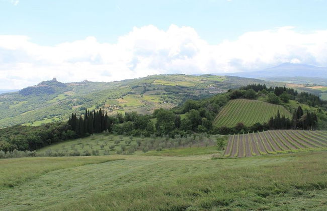 Agriturismo Il Poderuccio - Foto 57