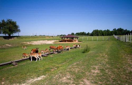 Zagroda Nad Kotelnią - Foto 74