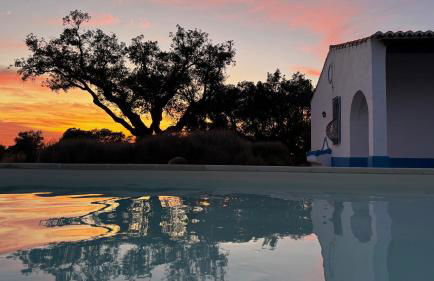 Monte do Sobreiro - Foto 30