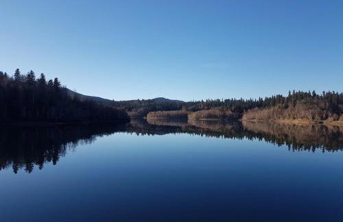 "Cattus" studio apartman - Foto 19