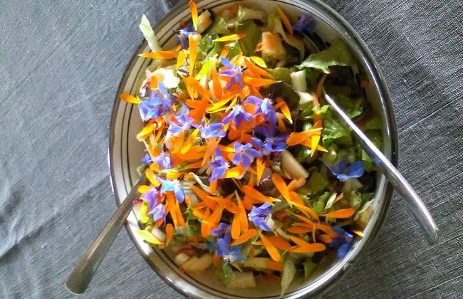 Casa del Geco - Foto 76