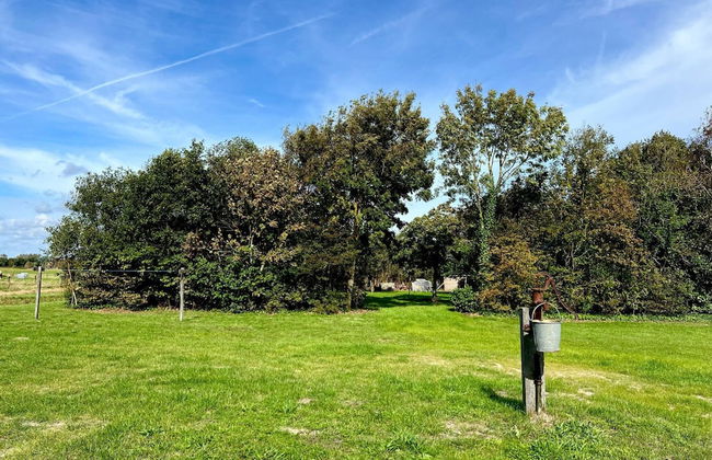 Holiday Home in Texel Near De Hors Reserve - Foto 19