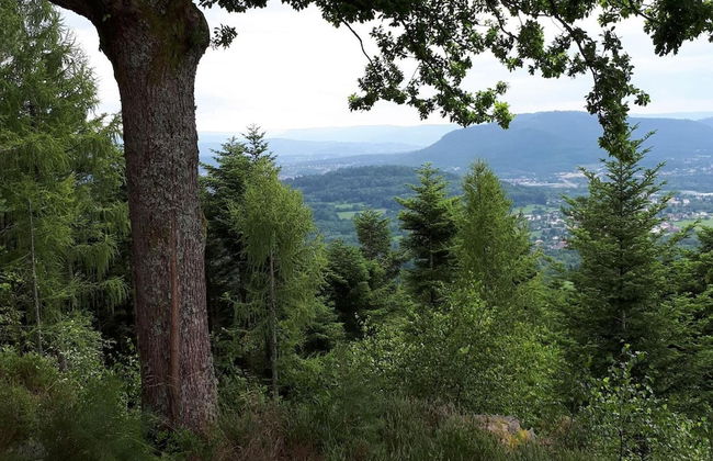 Gite Le Sapin - Photo 35