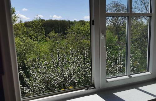 Ostseeblick im Andersenhof - Photo 9