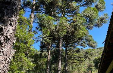 Memora Guesthouse Bateias - Casa Inteira e quartos em chácara - Photo 60