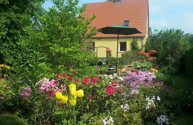 Apartment Under Cedar - Foto 38