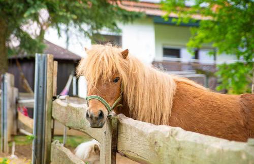 Ennerla Hof - Foto 22