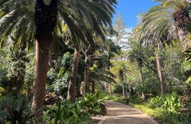 Cosy flat with sea view, pool and terrace in Altamira-complex in Costa Adeje - Playa del Duque - Foto 51