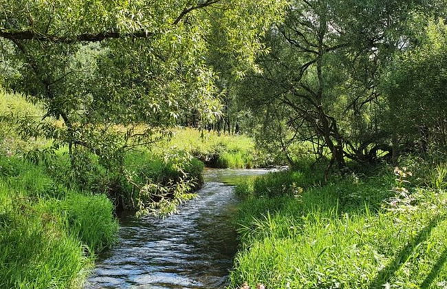 Traditional Chalet with Garden near Malmedy & Hautes-Fagnes - Foto 40