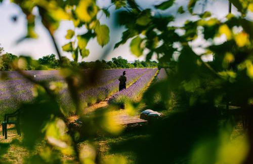 B&B Il Molinello - Foto 45