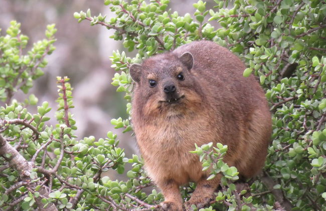 River Front Estate - Photo 28