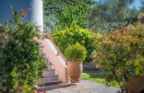 Omalia Apartment - Photo 37