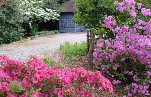 Restored1850s log cabin, with gazebo and gardens! 1 mile to downtown Weaverville - Foto 64