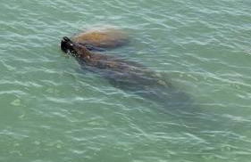 Sunny house 2mil beach - Foto 27