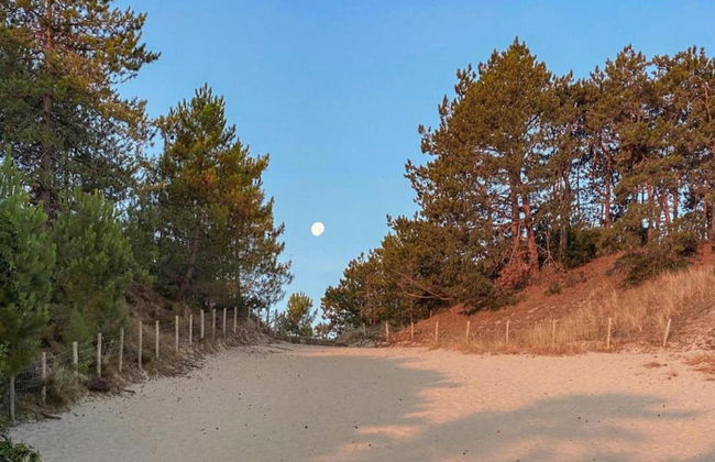 Relax Cozy Dirkshorn Stay - Photo 39