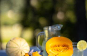 Le Mas Sérénité - Foto 42