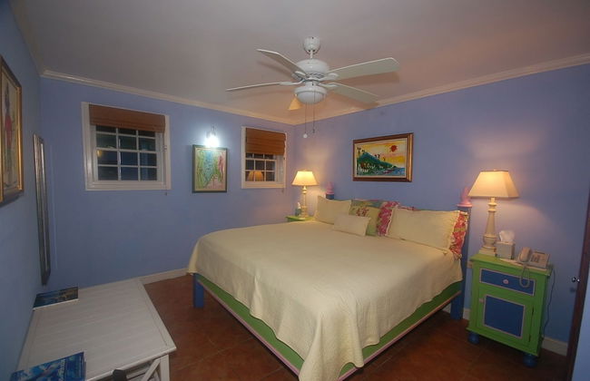 San Bar 6BR by Jamaican Treasures - Foto 11