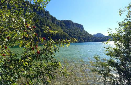 Le Chablis étoilé - Foto 36
