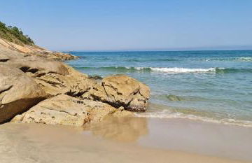 Will Container Experience - Foto 24