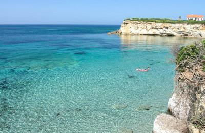 Ale house experience - Foto 53