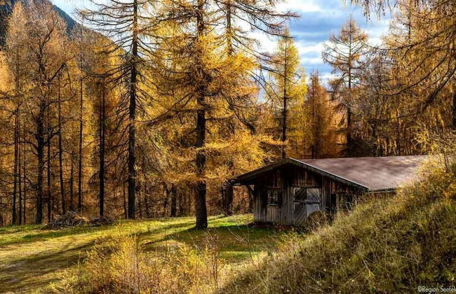 Sissi s green Chalets - Foto 55